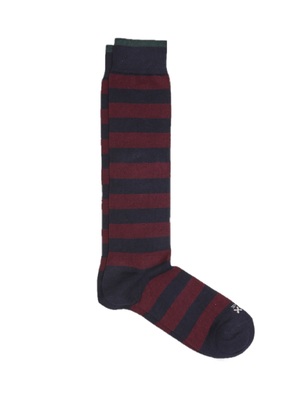 calze in the box stripe rugby bordeaux