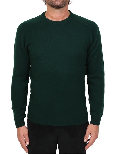 On sale Sweater Alan Paine Crew Neck Lenzie Lambswool Green |  VeltroniUomo.com - The online men's clothing store